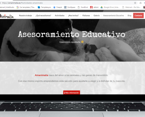 Apunto web amanimalia - Nuestros Servicios - A. Creative Solutions | Diseño gráfico, rotulación y vinilo en Segovia